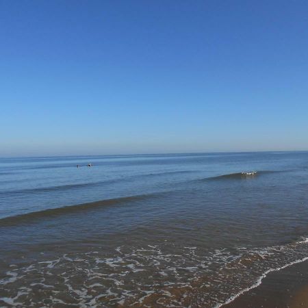 Zomerhuis Wonders Zandvoort Esterno foto