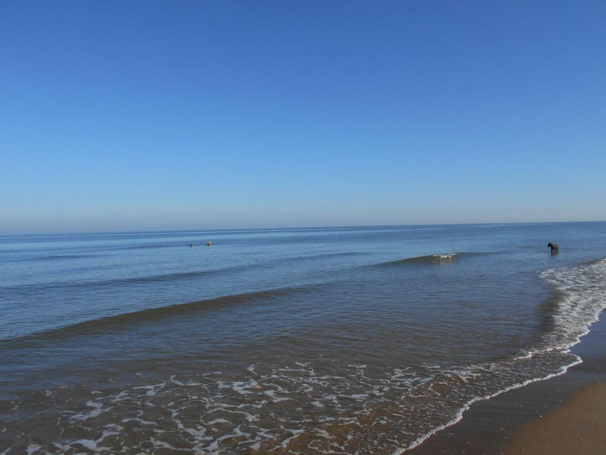 Zomerhuis Wonders Zandvoort Esterno foto